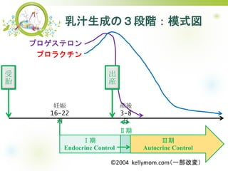 ֭ɤΣAģʽ

16-22
L

Endocrine Control


Autocrine Control
ץƥ

b

̥
b
3-8

ץ饯
?2004 ⳾ǳ.ǳһĉ䣩
 