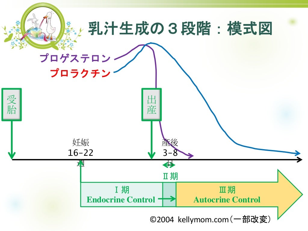 女性の健康習慣における乳房科医の役割を理解する