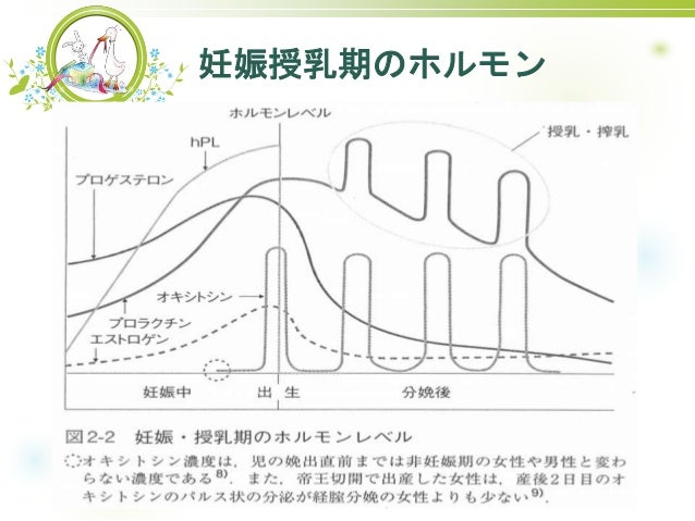 高槻病院院内学習会2018 乳房の解剖と母乳分泌の生理
