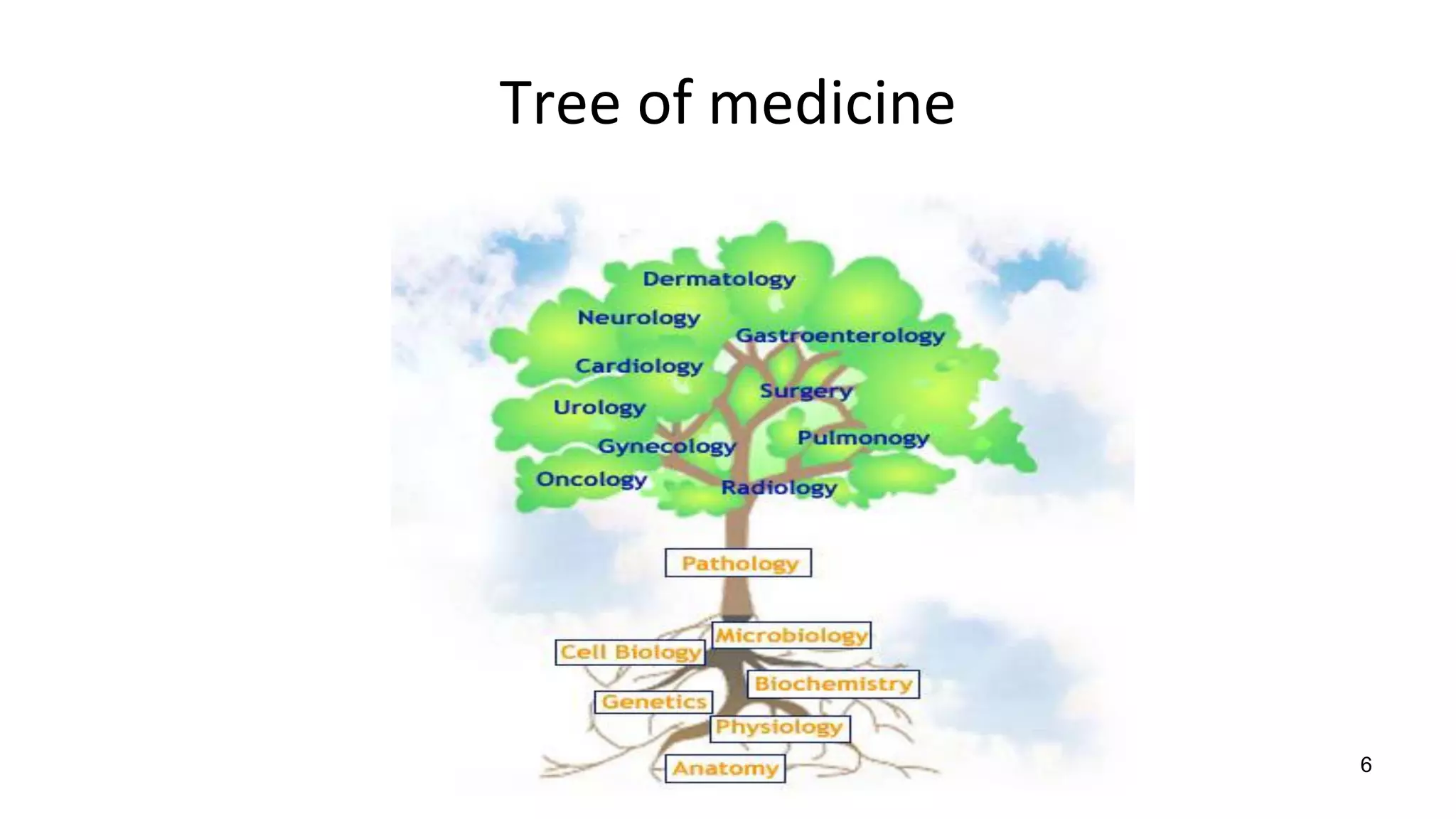 Tree of medicine
6
 