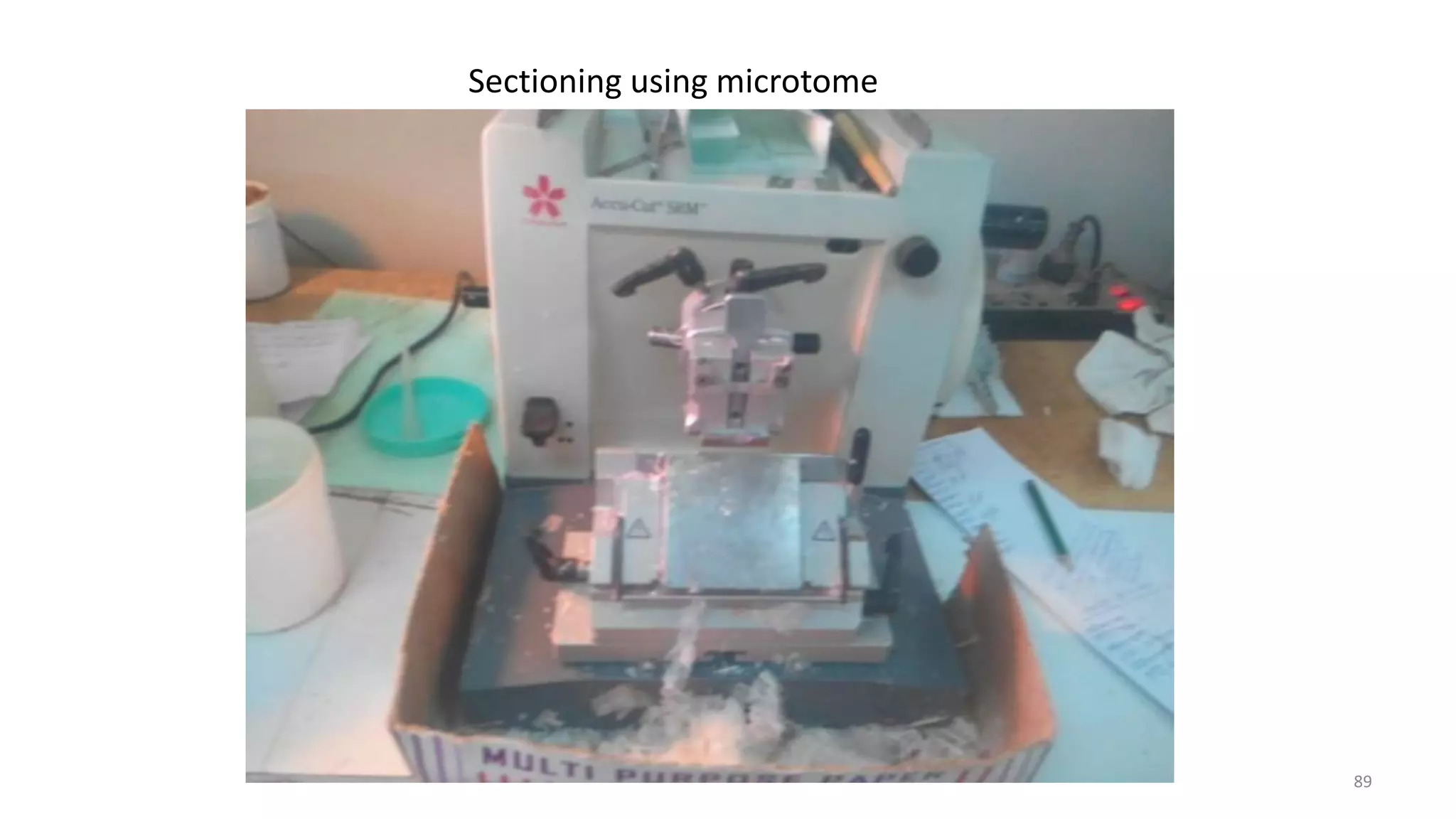 Sectioning using microtome
89
 