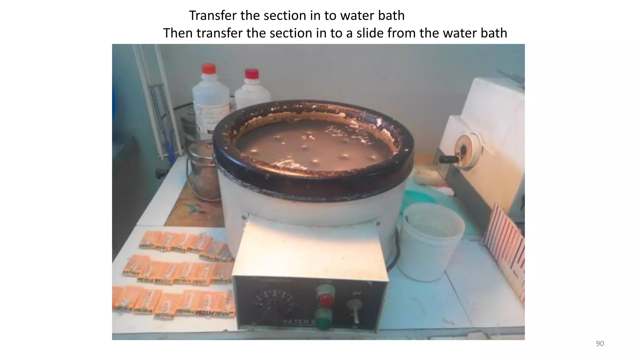 Transfer the section in to water bath
Then transfer the section in to a slide from the water bath
90
 