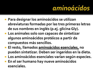  Para designar los aminoácidos se utilizan
abreviaturas formadas por las tres primeras letras
de sus nombres en inglés (p.ej. glicina Gly).
 Los animales solo son capaces de sintetizar
algunos aminoácidos protéicos a partir de
compuestos más sencillos.
 El resto, llamados aminoácidos esenciales, no
pueden sintetizar. Deben ser ingeridos en la dieta.
 Los aminoácidos esenciales varían según especies.
 En el ser humano hay nueve aminoácidos
esenciales.
 