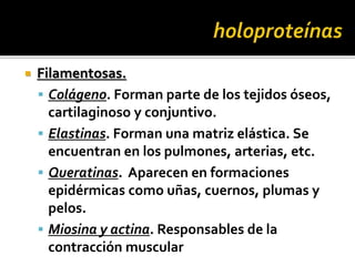  Filamentosas.
 Colágeno. Forman parte de los tejidos óseos,
cartilaginoso y conjuntivo.
 Elastinas. Forman una matriz elástica. Se
encuentran en los pulmones, arterias, etc.
 Queratinas. Aparecen en formaciones
epidérmicas como uñas, cuernos, plumas y
pelos.
 Miosina y actina. Responsables de la
contracción muscular
 