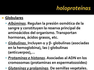  Globulares
 Albúminas. Regulan la presión osmótica de la
sangre y constituyen la reserva principal de
aminoácidos del organismo.Transportan
hormonas, ácidos grasos, etc.
 Globulinas. Incluyen a y b- globulinas (asociadas
en la hemoglobina), las (-globulinas
(anticuerpos),...
 Protaminas e histonas. Asociadas al ADN en los
cromosomas (protaminas en espermatozoides)
 Gluteninas y prolaminas. De semillas vegetales.
 