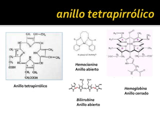 Anillo tetrapirrólico
Hemoglobina
Anillo cerrado
Hemocianina
Anillo abierto
Bilirrubina
Anillo abierto
 