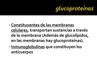 ▪ Constituyentes de las membranas
celulares, transportan sustancias a través
de la membrana (Además de glucolípidos,
en las membranas hay glucoproteínas).
▪ Inmunoglobulinas que constituyen los
anticuerpos
 