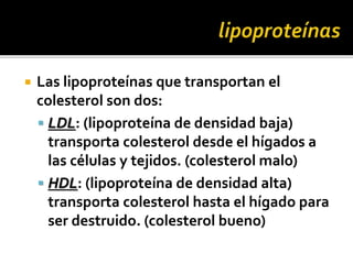  Las lipoproteínas que transportan el
colesterol son dos:
 LDL: (lipoproteína de densidad baja)
transporta colesterol desde el hígados a
las células y tejidos. (colesterol malo)
 HDL: (lipoproteína de densidad alta)
transporta colesterol hasta el hígado para
ser destruido. (colesterol bueno)
 
