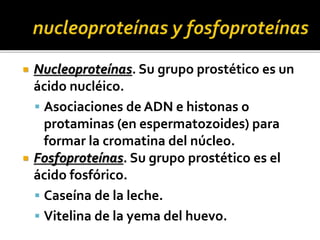  Nucleoproteínas. Su grupo prostético es un
ácido nucléico.
 Asociaciones de ADN e histonas o
protaminas (en espermatozoides) para
formar la cromatina del núcleo.
 Fosfoproteínas. Su grupo prostético es el
ácido fosfórico.
 Caseína de la leche.
 Vitelina de la yema del huevo.
 