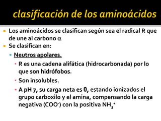  Los aminoácidos se clasifican según sea el radical R que
de une al carbono a
 Se clasifican en:
 Neutros apolares.
▪ R es una cadena alifática (hidrocarbonada) por lo
que son hidrófobos.
▪ Son insolubles.
▪ A pH 7, su carga neta es 0, estando ionizados el
grupo carboxilo y el amina, compensando la carga
negativa (COO-) con la positiva NH3
+
 