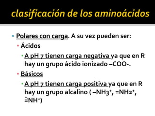  Polares con carga. A su vez pueden ser:
▪ Ácidos
▪A pH 7 tienen carga negativa ya que en R
hay un grupo ácido ionizado –COO-.
▪ Básicos
▪A pH 7 tienen carga positiva ya que en R
hay un grupo alcalino ( –NH3+, =NH2+,
=NH+)
 