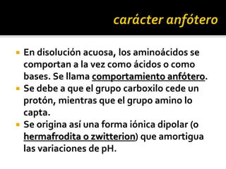  En disolución acuosa, los aminoácidos se
comportan a la vez como ácidos o como
bases. Se llama comportamiento anfótero.
 Se debe a que el grupo carboxilo cede un
protón, mientras que el grupo amino lo
capta.
 Se origina así una forma iónica dipolar (o
hermafrodita o zwitterion) que amortigua
las variaciones de pH.
 