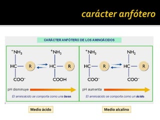 Medio ácido Medio alcalino
 