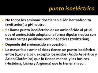  No todos los aminoácidos tienen el ión hermafrodita
(zwitterion) a pH neutro.
 Se llama punto isoeléctrico de un aminoácido al pH al
que el aminoácido adopta una forma dipolar neutra con
tantas cargas positivas como negativas (zwitterion).
 Depende del aminoácido en cuestión.
 La mayoría de aminoácidos tienen un punto isoelétrico
entre (5,07 y 6,02), excepto los ácidos (Ácido Aspártico y
Ácido Glutámico) que lo tienen menor y los básicos
(Histidina, Lisina y Arginina) que lo tienen mayor.
 