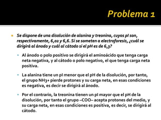  Se dispone de una disolución de alanina y treonina, cuyos pI son,
respectivamente, 6,02 y 6,6. Si se someten a electroforesis, ¿cuál se
dirigirá al ánodo y cuál al cátodo si el pH es de 6,3?
 Al ánodo o polo positivo se dirigirá el aminoácido que tenga carga
neta negativa, y al cátodo o polo negativo, el que tenga carga neta
positiva.
 La alanina tiene un pI menor que el pH de la disolución, por tanto,
el grupo NH3+ pierde protones y su carga neta, en esas condiciones
es negativa, es decir se dirigirá al ánodo.
 Por el contrario, la treonina tienen un pI mayor que el pH de la
disolución, por tanto el grupo –COO– acepta protones del medio, y
su carga neta, en esas condiciones es positiva, es decir, se dirigirá al
cátodo.
 