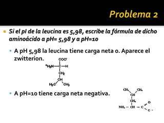  Si el pI de la leucina es 5,98, escribe la fórmula de dicho
aminoácido a pH= 5,98 y a pH=10
 A pH 5,98 la leucina tiene carga neta 0. Aparece el
zwitterion.
 A pH=10 tiene carga neta negativa.
-
 