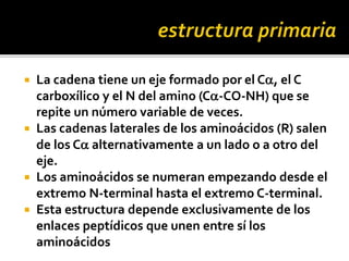  La cadena tiene un eje formado por el Ca, el C
carboxílico y el N del amino (Ca-CO-NH) que se
repite un número variable de veces.
 Las cadenas laterales de los aminoácidos (R) salen
de los Ca alternativamente a un lado o a otro del
eje.
 Los aminoácidos se numeran empezando desde el
extremo N-terminal hasta el extremo C-terminal.
 Esta estructura depende exclusivamente de los
enlaces peptídicos que unen entre sí los
aminoácidos
 