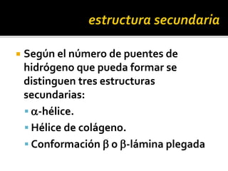  Según el número de puentes de
hidrógeno que pueda formar se
distinguen tres estructuras
secundarias:
 a-hélice.
 Hélice de colágeno.
 Conformación b o b-lámina plegada
 