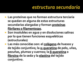  Las proteínas que no forman estructura terciaria
se quedan en alguna de estas estructuras
secundarias alargadas y forman proteínas
fibrilares o filamentosas.
 Son insolubles en agua y en disoluciones salinas
por lo que tienen funciones esqueléticas
(estructurales)
 Las más conocidas son: el colágeno de huesos y
de tejido conjuntivo; la a-queratina de pelo, uñas,
pezuñas, plumas y cuernos; la b-queratina o
fibroína de la seda y la elastina del tejido
conjuntivo.
 