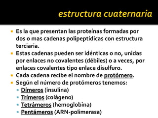 Es la que presentan las proteínas formadas por
dos o mas cadenas polipeptídicas con estructura
terciaria.
 Estas cadenas pueden ser idénticas o no, unidas
por enlaces no covalentes (débiles) o a veces, por
enlaces covalentes tipo enlace disulfuro.
 Cada cadena recibe el nombre de protómero.
 Según el número de protómeros tenemos:
 Dímeros (insulina)
 Trímeros (colágeno)
 Tetrámeros (hemoglobina)
 Pentámeros (ARN-polimerasa)
 