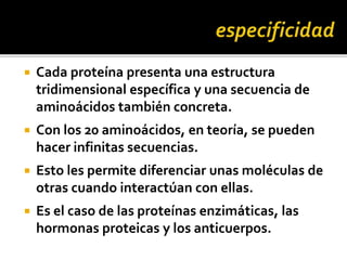  Cada proteína presenta una estructura
tridimensional específica y una secuencia de
aminoácidos también concreta.
 Con los 20 aminoácidos, en teoría, se pueden
hacer infinitas secuencias.
 Esto les permite diferenciar unas moléculas de
otras cuando interactúan con ellas.
 Es el caso de las proteínas enzimáticas, las
hormonas proteicas y los anticuerpos.
 