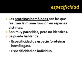  Las proteínas homólogas son las que
realizan la misma función en especies
distintas.
 Son muy parecidas, pero no idénticas.
 Se puede hablar de:
 Especificidad de especie (proteínas
homólogas).
 Especificidad de individuo.
 