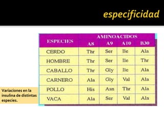 Variaciones en la
insulina de distintas
especies.
 