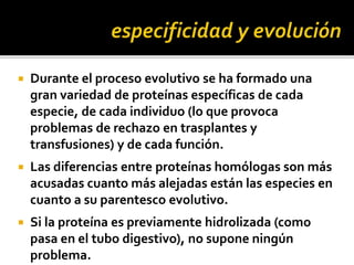  Durante el proceso evolutivo se ha formado una
gran variedad de proteínas específicas de cada
especie, de cada individuo (lo que provoca
problemas de rechazo en trasplantes y
transfusiones) y de cada función.
 Las diferencias entre proteínas homólogas son más
acusadas cuanto más alejadas están las especies en
cuanto a su parentesco evolutivo.
 Si la proteína es previamente hidrolizada (como
pasa en el tubo digestivo), no supone ningún
problema.
 