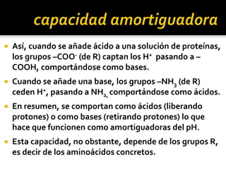  Así, cuando se añade ácido a una solución de proteínas,
los grupos –COO- (de R) captan los H+ pasando a –
COOH, comportándose como bases.
 Cuando se añade una base, los grupos –NH3 (de R)
ceden H+, pasando a NH2, comportándose como ácidos.
 En resumen, se comportan como ácidos (liberando
protones) o como bases (retirando protones) lo que
hace que funcionen como amortiguadoras del pH.
 Esta capacidad, no obstante, depende de los grupos R,
es decir de los aminoácidos concretos.
 
