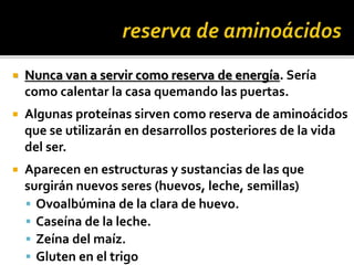  Nunca van a servir como reserva de energía. Sería
como calentar la casa quemando las puertas.
 Algunas proteínas sirven como reserva de aminoácidos
que se utilizarán en desarrollos posteriores de la vida
del ser.
 Aparecen en estructuras y sustancias de las que
surgirán nuevos seres (huevos, leche, semillas)
 Ovoalbúmina de la clara de huevo.
 Caseína de la leche.
 Zeína del maíz.
 Gluten en el trigo
 