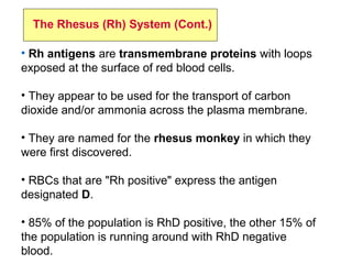 • Rh antigens are transmembrane proteins with loops
exposed at the surface of red blood cells.
• They appear to be used for the transport of carbon
dioxide and/or ammonia across the plasma membrane.
• They are named for the rhesus monkey in which they
were first discovered.
• RBCs that are "Rh positive" express the antigen
designated D.
• 85% of the population is RhD positive, the other 15% of
the population is running around with RhD negative
blood.
The Rhesus (Rh) System (Cont.)
 