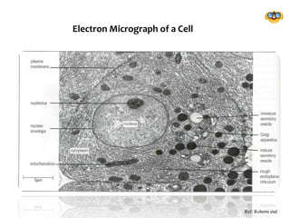 Cellular Electrogram 1.1 introduction-to-cells | PPT