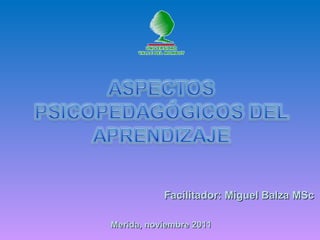 Facilitador: Miguel Balza MScFacilitador: Miguel Balza MSc
Merida, noviembre 2011Merida, noviembre 2011
 