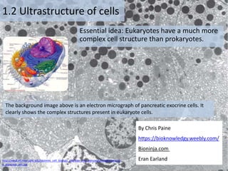 1.2 Obj Notes and Practice