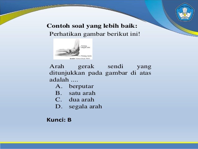 Contoh soal essay tentang rantai makanan