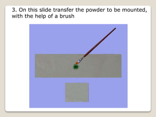 3. On this slide transfer the powder to be mounted,
with the help of a brush
 