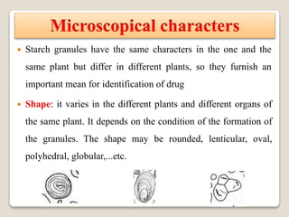 Microscopical characters
 Starch granules have the same characters in the one and the
same plant but differ in different plants, so they furnish an
important mean for identification of drug
 Shape: it varies in the different plants and different organs of
the same plant. It depends on the condition of the formation of
the granules. The shape may be rounded, lenticular, oval,
polyhedral, globular,...etc.
 