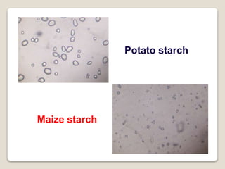 Potato starch
Maize starch
 