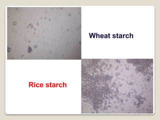 Wheat starch
Rice starch
 