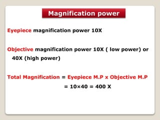 Eyepiece magnification power 10X
Objective magnification power 10X ( low power) or
40X (high power)
Total Magnification = Eyepiece M.P x Objective M.P
= 10×40 = 400 X
Magnification power
 