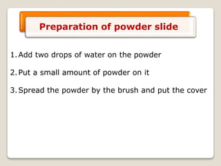 Preparation of powder slide
1.Add two drops of water on the powder
2.Put a small amount of powder on it
3.Spread the powder by the brush and put the cover
 