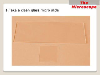 1.Take a clean glass micro slide
 