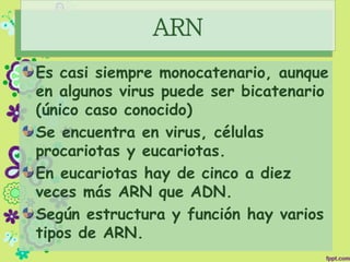 ARN
Es casi siempre monocatenario, aunque
en algunos virus puede ser bicatenario
(único caso conocido)
Se encuentra en virus, células
procariotas y eucariotas.
En eucariotas hay de cinco a diez
veces más ARN que ADN.
Según estructura y función hay varios
tipos de ARN.
 
