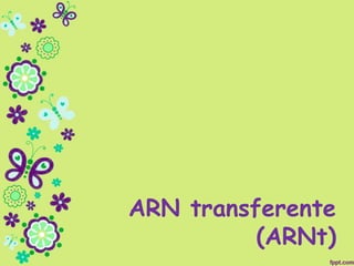 ARN transferente
(ARNt)
 