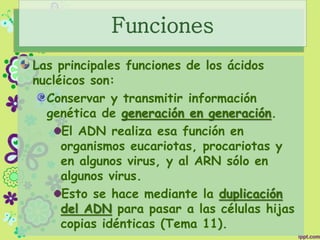 Funciones
Las principales funciones de los ácidos
nucléicos son:
Conservar y transmitir información
genética de generación en generación.
El ADN realiza esa función en
organismos eucariotas, procariotas y
en algunos virus, y al ARN sólo en
algunos virus.
Esto se hace mediante la duplicación
del ADN para pasar a las células hijas
copias idénticas (Tema 11).
 