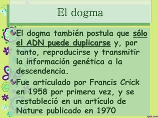 El dogma
El dogma también postula que sólo
el ADN puede duplicarse y, por
tanto, reproducirse y transmitir
la información genética a la
descendencia.
Fue articulado por Francis Crick
en 1958 por primera vez, y se
restableció en un artículo de
Nature publicado en 1970
 