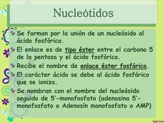Nucleótidos
Se forman por la unión de un nucleósido al
ácido fosfórico.
El enlace es de tipo éster entre el carbono 5
de la pentosa y el ácido fosfórico.
Recibe el nombre de enlace éster fosfórico.
El carácter ácido se debe al ácido fosfórico
que se ioniza.
Se nombran con el nombre del nucleósido
seguido de 5’-monofosfato (adenosina 5’-
monofosfato o Adenosín monofosfato o AMP)
 