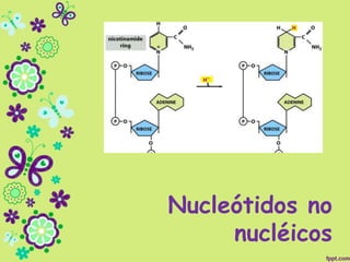 Nucleótidos no
nucléicos
 