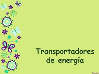Transportadores
de energía
 