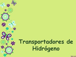 Transportadores de
Hidrógeno
 